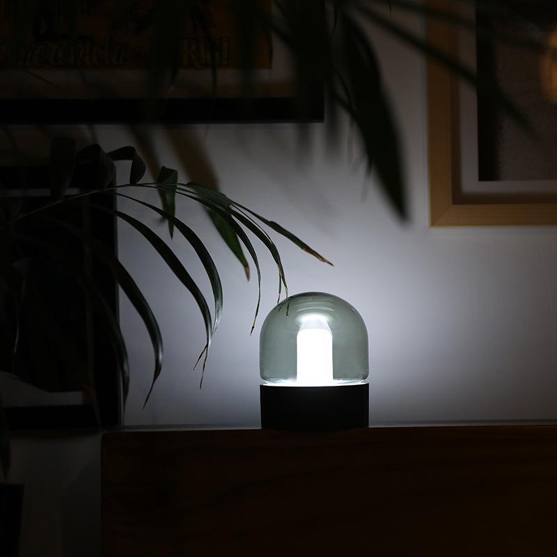 Luna - Glass Dome Night Lamp - InspiraDesigns 